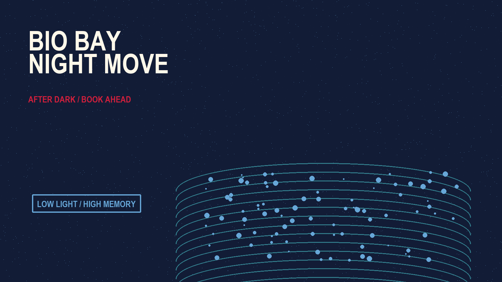 Bio Bay Puerto Rico Night Move artwork